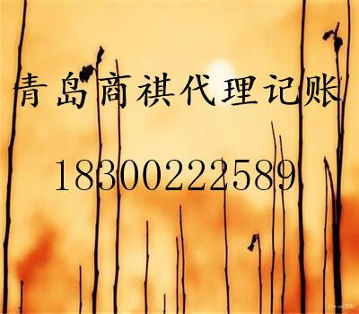 注冊(cè)公司、代理記賬、增姿、審計(jì)鑒證報(bào)告、納稅籌劃