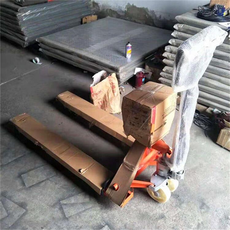 甘肅500kg本安型電子秤