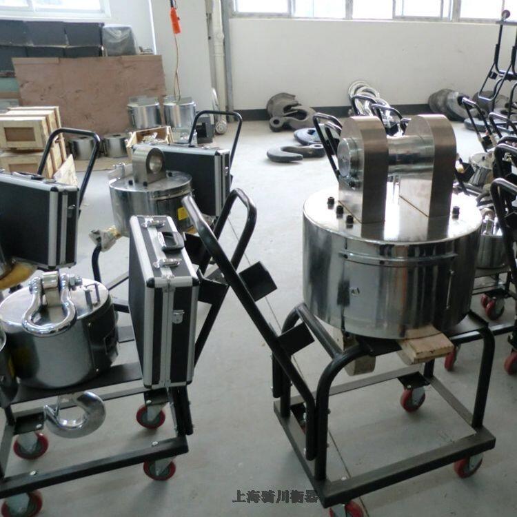 四平市10噸電子吊磅 帶雙鉤塔吊稱