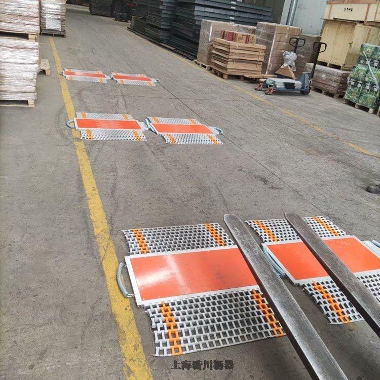 河南洛陽市50噸全鋼電子行吊稱