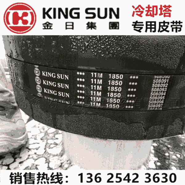 金日KING SUN水塔冷卻塔皮帶 11M聯(lián)組廣角帶