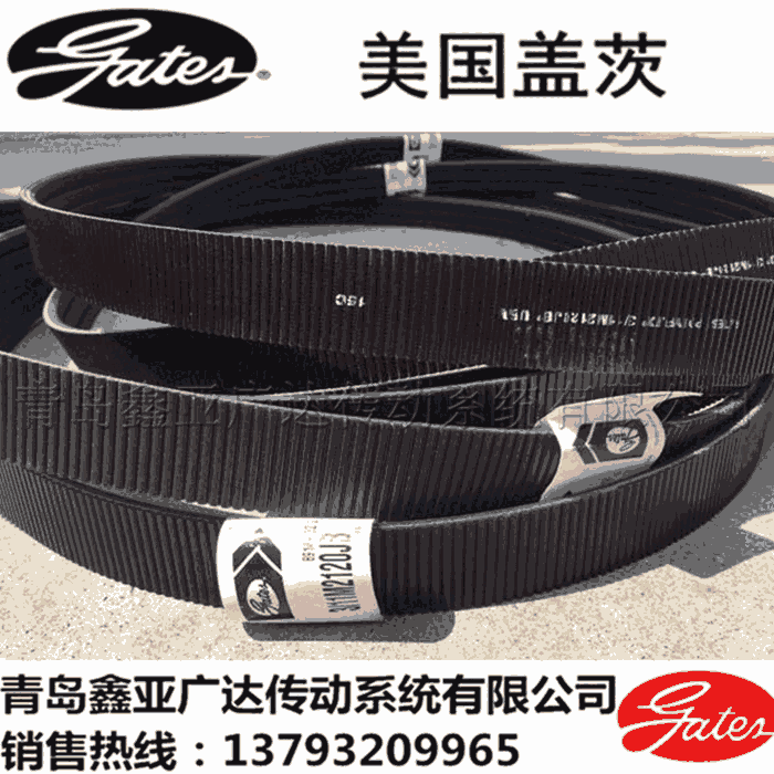 美國蓋茨GATES 單根 聯(lián)組11M廣角帶 水塔冷卻塔皮帶SPL