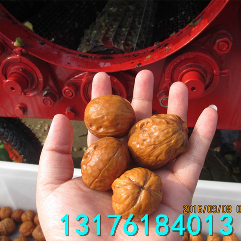 小型家用核桃剝殼機(jī) 山核桃去皮機(jī) 節(jié)能型青皮核桃剝殼機(jī)
