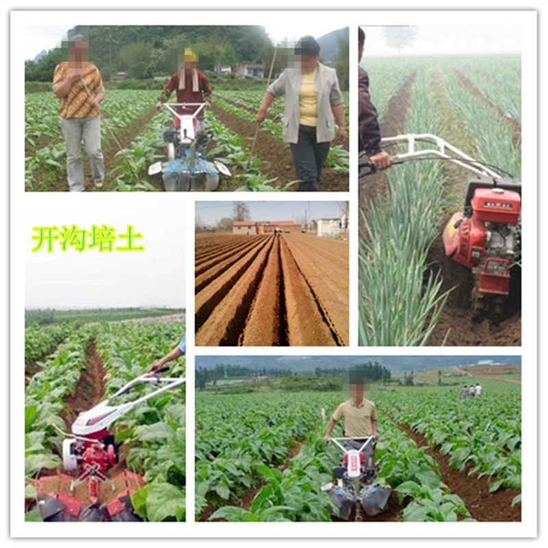 宏興手扶式耐用開(kāi)溝培土機(jī) 果園田園管理機(jī)圖片 大姜開(kāi)溝機(jī)