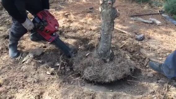 植樹挖坑機(jī) 大棚埋樁電線桿打孔機(jī) 種樹打窩子機(jī)
