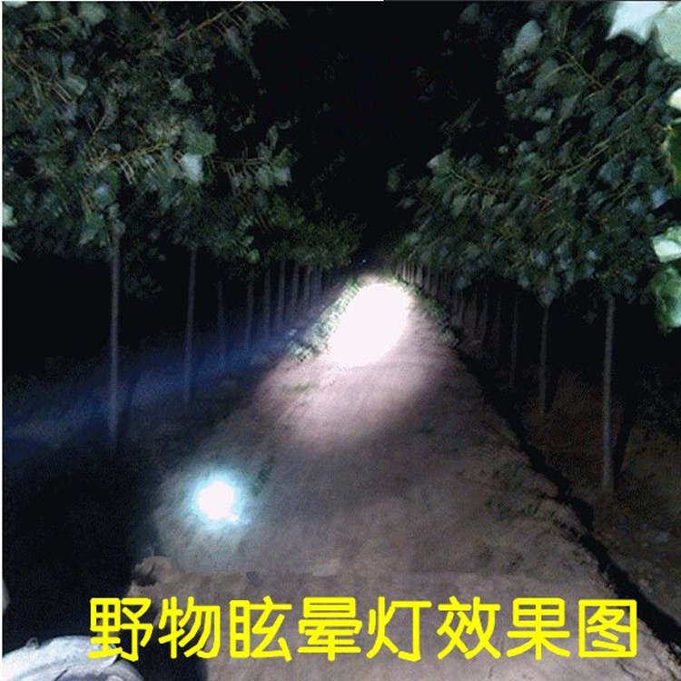 宏興牌強光捕獵燈 背負式照明燈 野兔捕獵照明燈