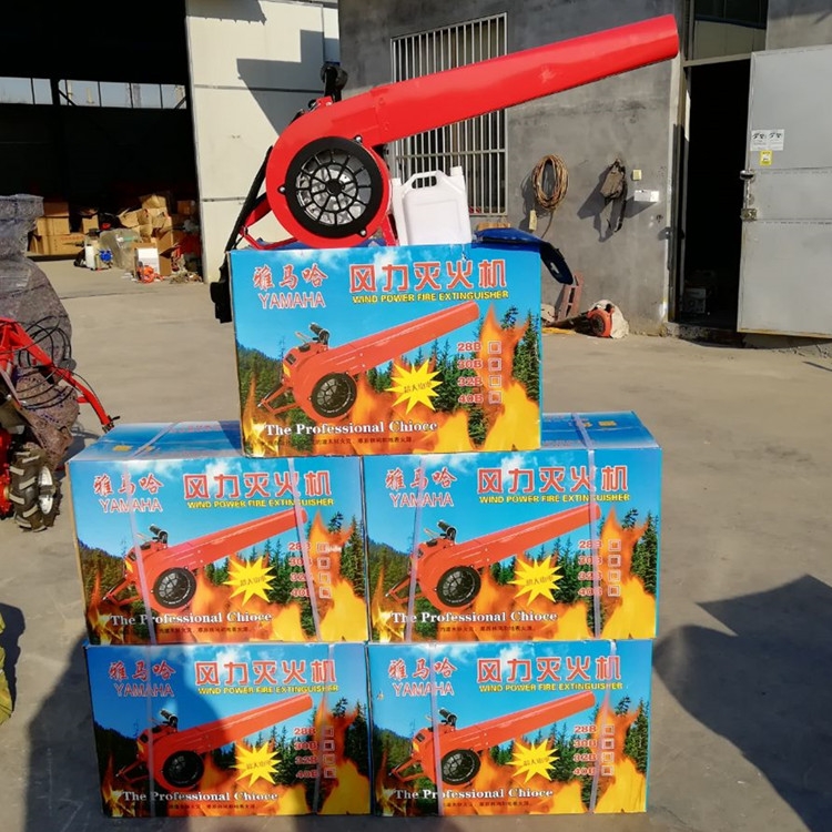 路面吹雪機(jī) 小區(qū)路面快速吹雪機(jī) 農(nóng)用大棚吹雪機(jī)