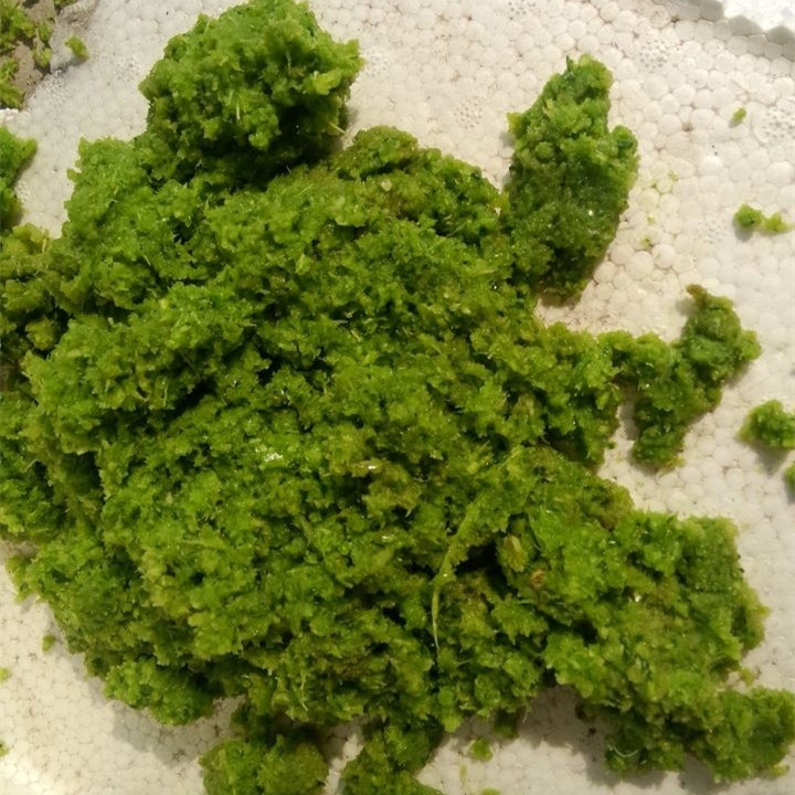 新款大產(chǎn)量打漿機 好操作飼料打漿機 2018新款青草打漿機視頻