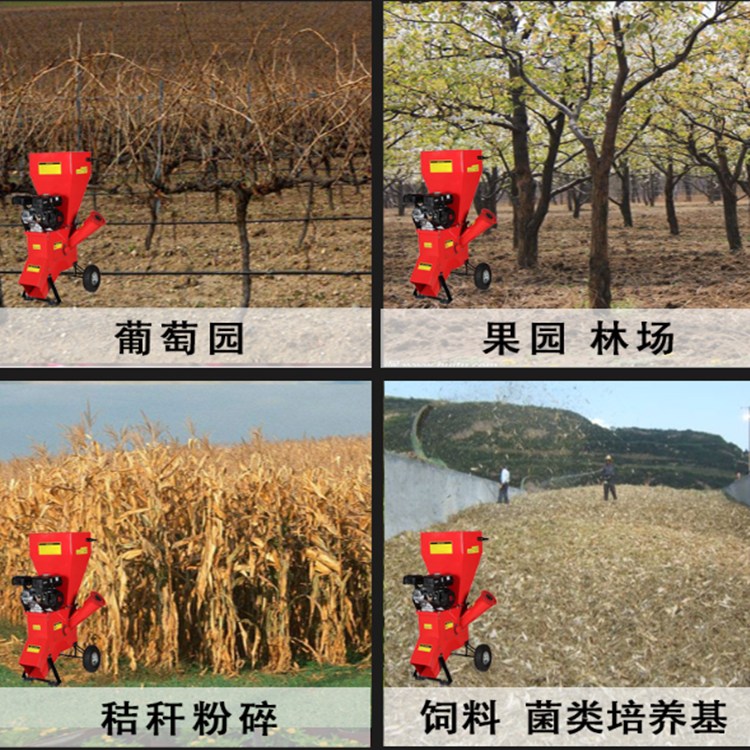 樹枝木材粉碎機(jī) 破枝機(jī)價(jià)格 汽油式樹枝粉碎機(jī)