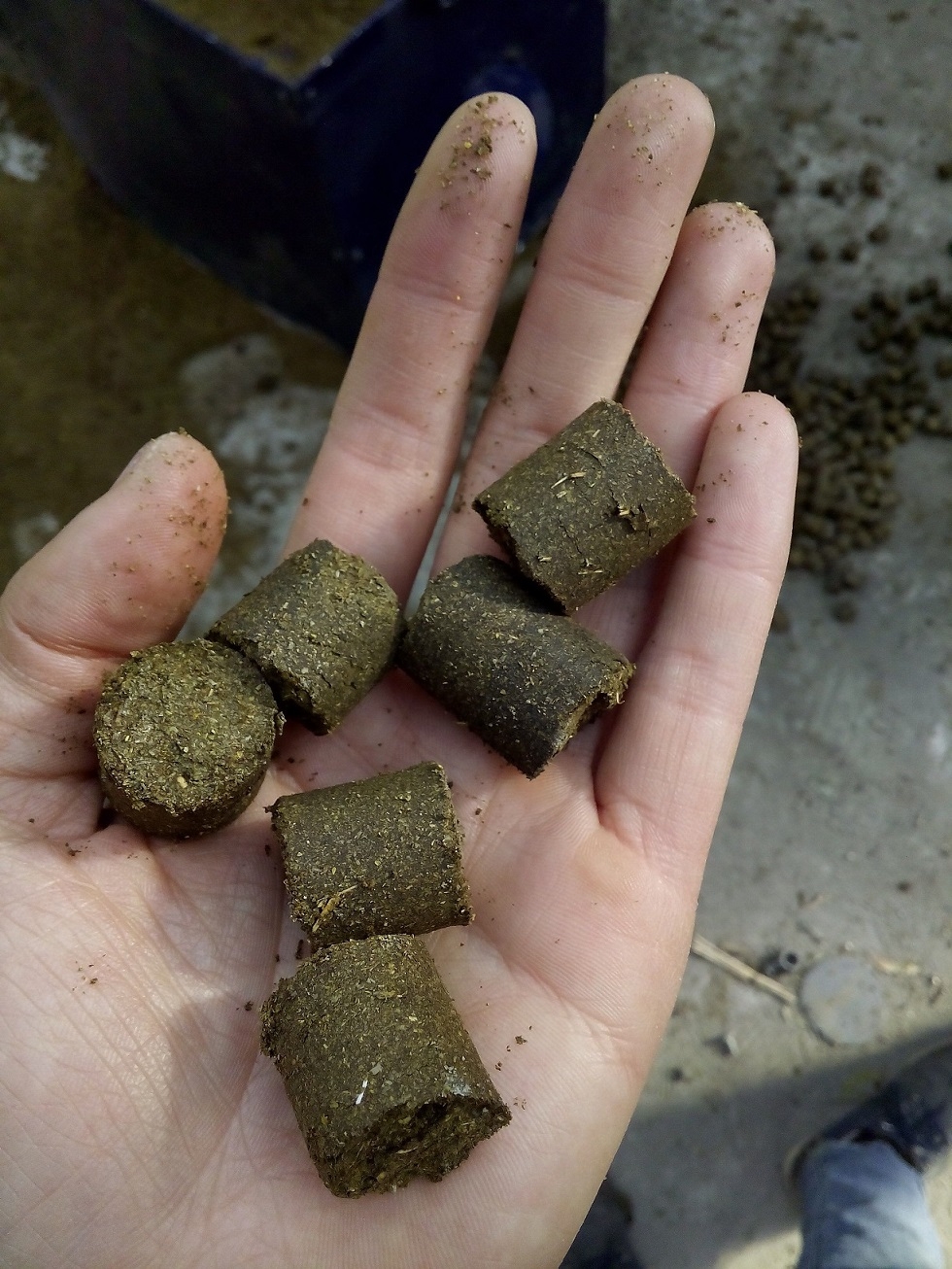 秸稈燃料顆粒機(jī) 生物質(zhì)塊成型機(jī)廠家批發(fā)河北