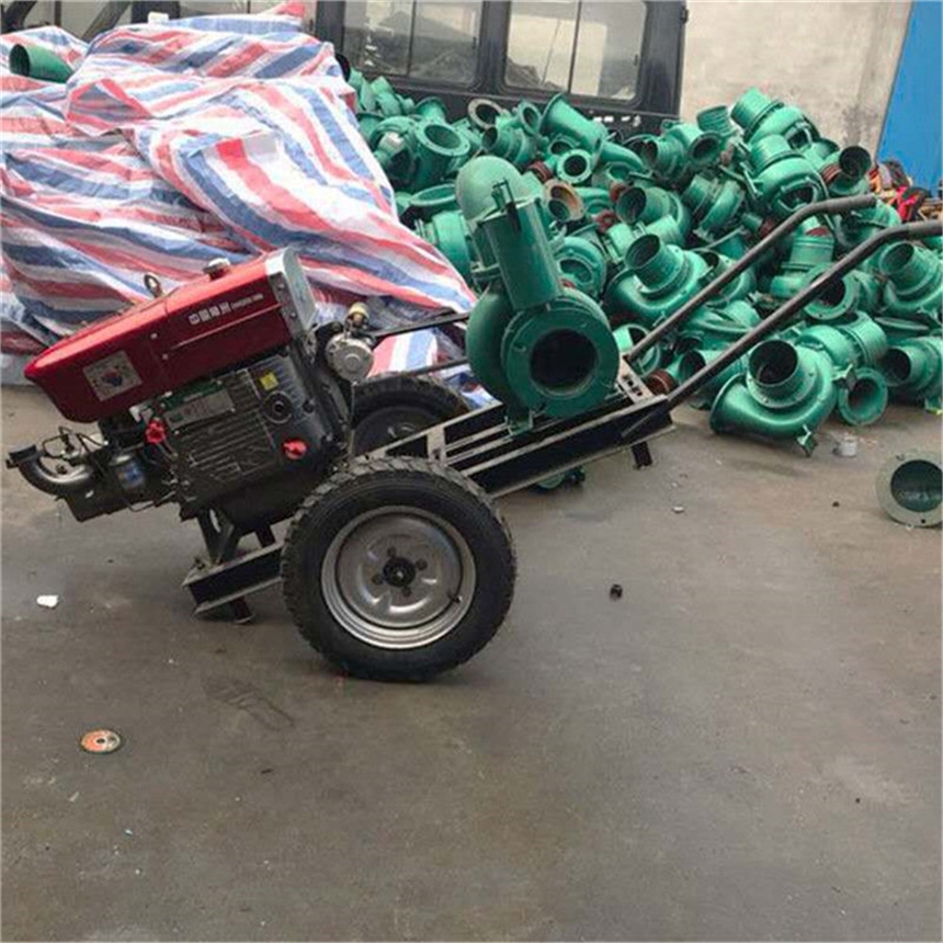 周口 192柴油機(jī)帶噴槍一體機(jī)  小型抽水泵圖片