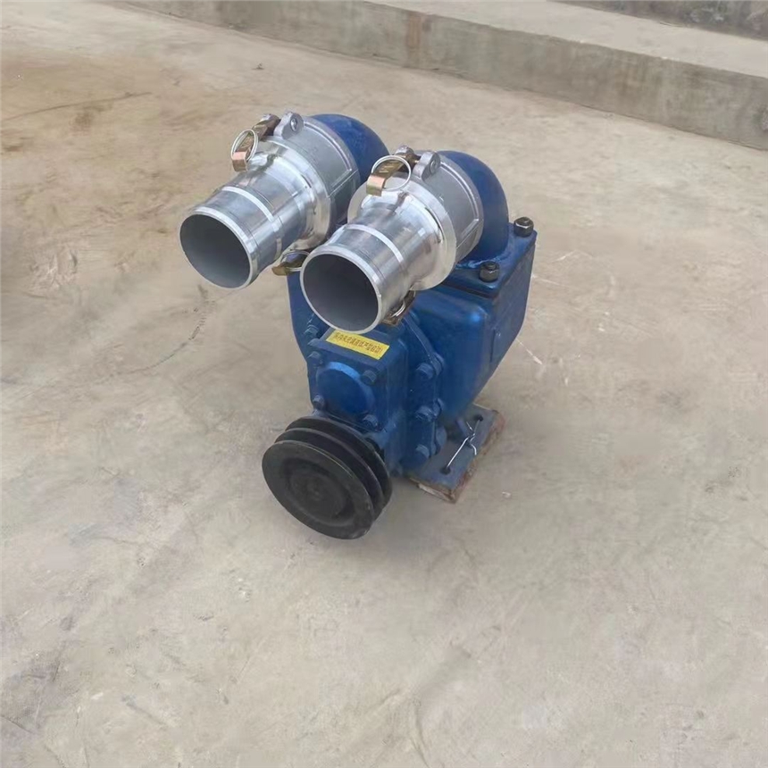 大興安嶺 柴油發(fā)電機組水泵 園林農(nóng)業(yè)柴油抽水泵