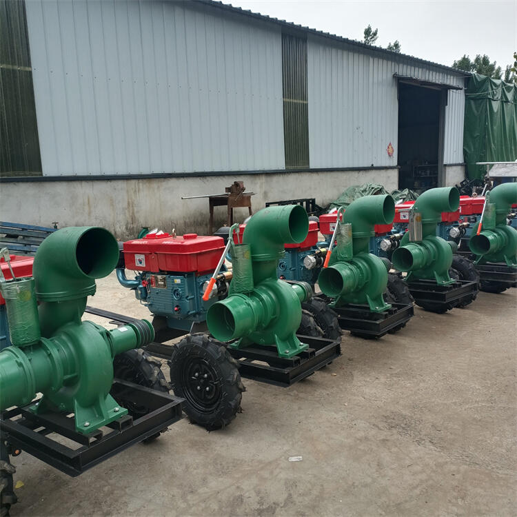 澆地大流量張掖6寸8寸10寸泵園林灌溉抽水泵節(jié)省勞動(dòng)力