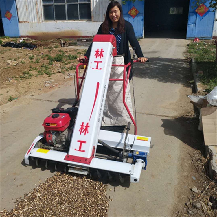 裝袋機怎么賣收糧收谷機批發(fā)零售