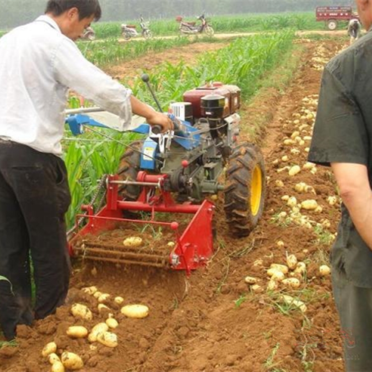 農(nóng)作物挖掘機(jī)不同寬幅可定制 漏土快的洋芋收獲機(jī)多用途土豆收獲機(jī)