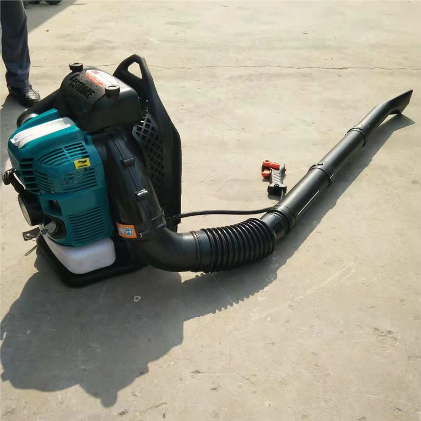 二沖程吹風(fēng)機(jī) 新款強(qiáng)力除塵吹風(fēng)機(jī)  省時(shí)省力大棚吹雪機(jī)