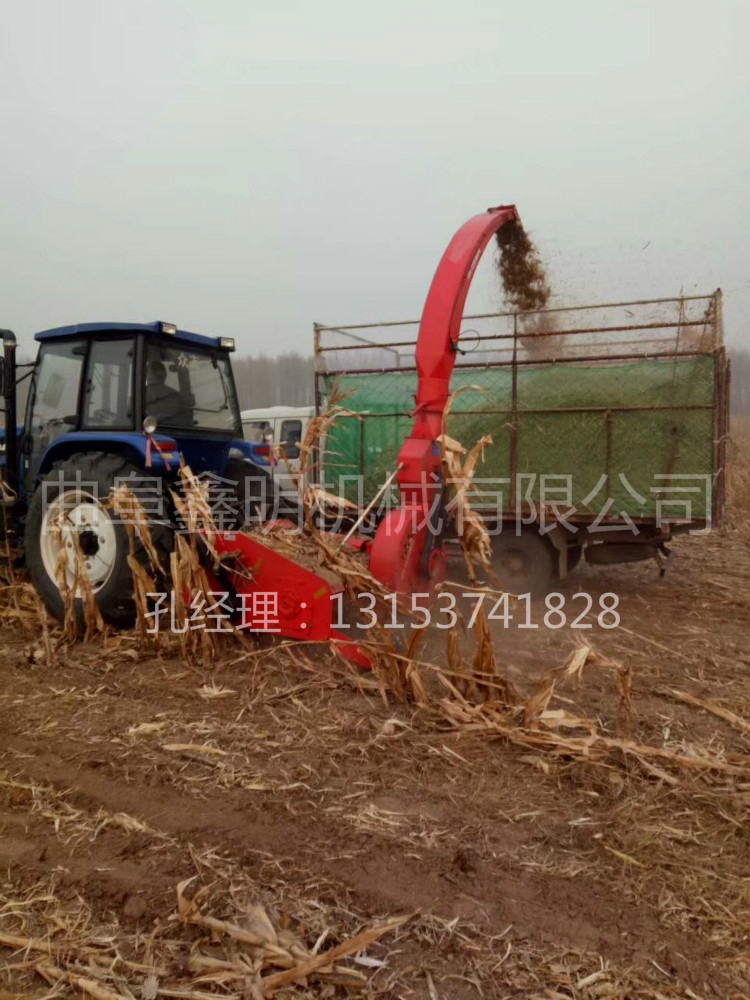豬飼料回收機 青秸稈帶斗粉碎收獲機廠家 青貯收集機