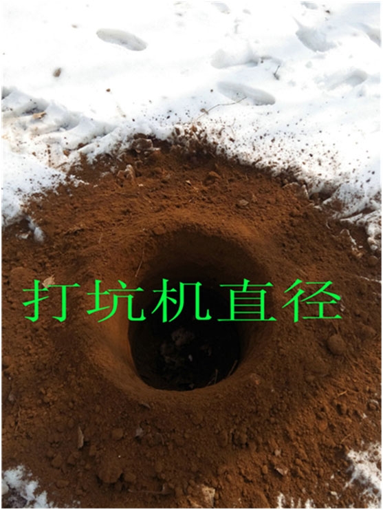 二沖程種樹機(jī)供應(yīng)植樹打坑機(jī) 批發(fā)