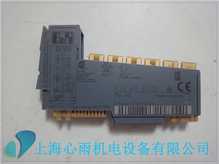 X20BR9300貝加萊總線(xiàn)模塊