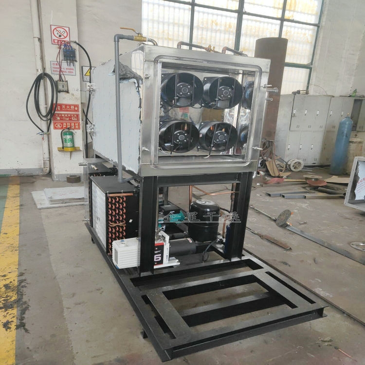 新疆 脆棗真空凍干機 低溫冷凍干燥機廠家