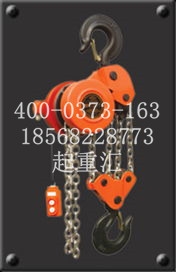 黑龍江伊春DH環(huán)鏈電動葫蘆廠家供應(yīng)