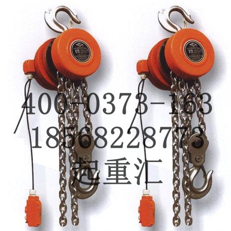 廣安歐式電動(dòng)葫蘆推薦