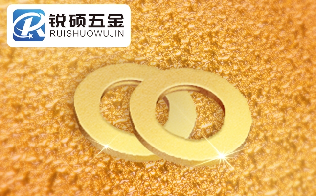銳碩五金供應(yīng)商高品質(zhì)平墊圈