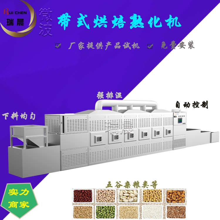 隧道式微波烘焙設(shè)備結(jié)構(gòu) 五谷雜糧微波熟化烘焙生產(chǎn)線