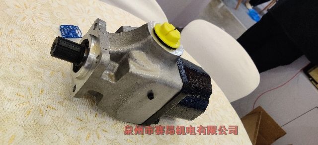 OMFB柱塞泵HDS 2PAK-100 108-005-10022隨車吊鉤臂車垃圾車直泵