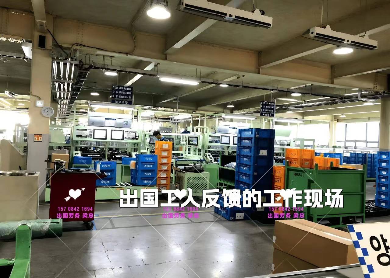 四平新西蘭出國勞務(wù)蔬菜包裝工果木采摘工包吃住月薪3萬起