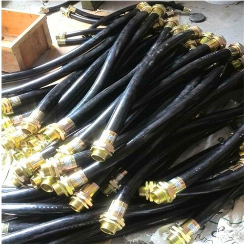 M32*2電機(jī)防爆撓性管