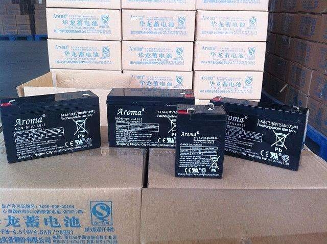 華龍蓄電池6-GFM-50機(jī)房電源12V50AH詢(xún)價(jià)