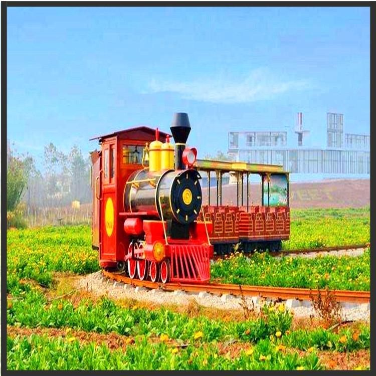 游樂(lè)小火車金耀SJH068A景區(qū)有軌小火車建設(shè)