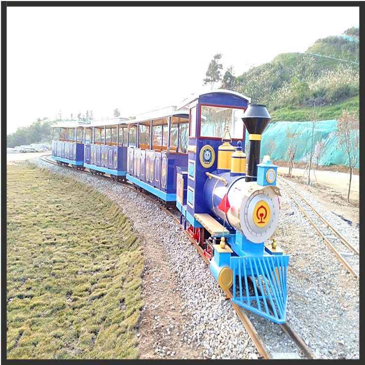 建設周期短景區(qū)游樂小火車網(wǎng)紅打卡設備批發(fā)