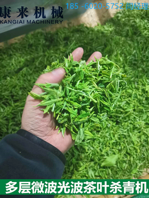 茶葉殺青機供應(yīng)廠家 茶葉殺青機公司企業(yè) 茶葉殺青機產(chǎn)地工廠