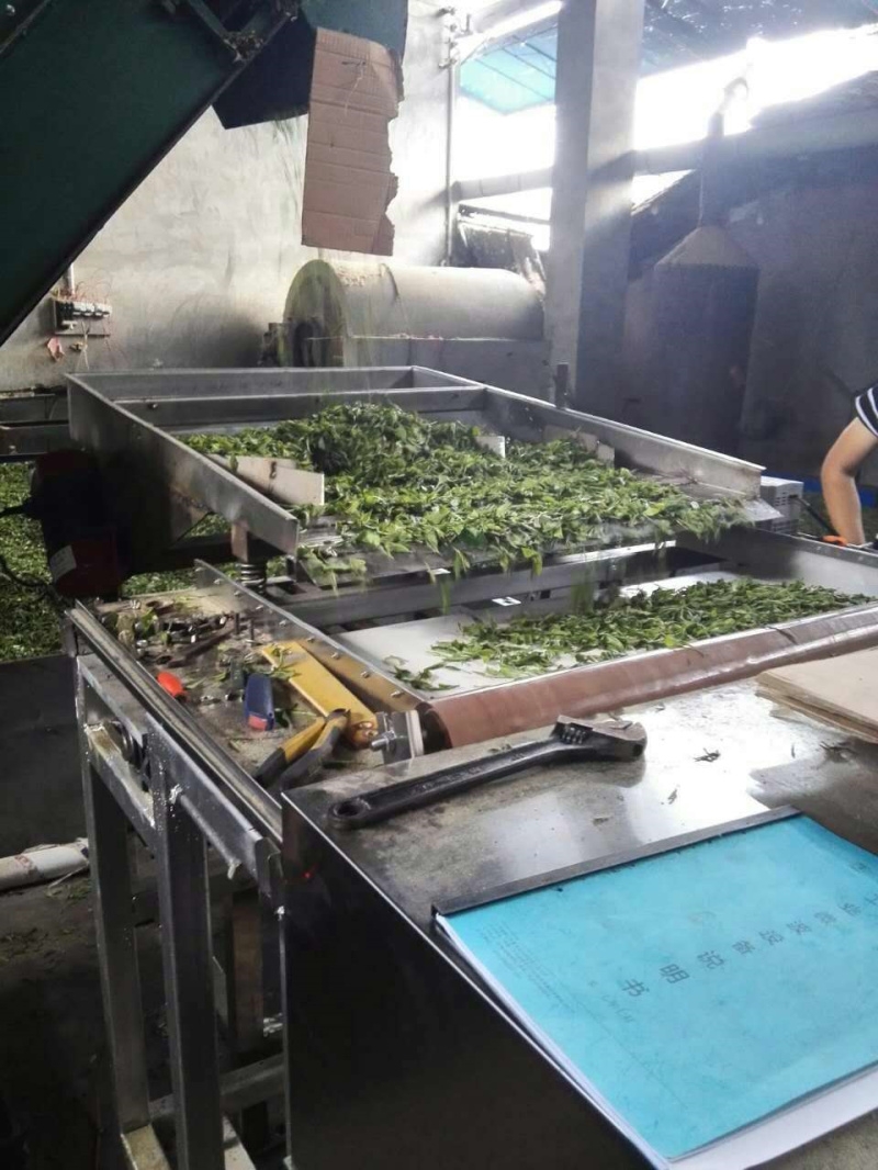 山東廠家供應(yīng)康來(lái)牌KL-01型可根據(jù)產(chǎn)量定做的薏米微波烘烤機(jī)