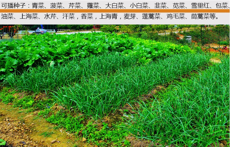 胡蘿卜播種機(jī)內(nèi)蒙古油菜播種機(jī)供應(yīng)內(nèi)蒙古