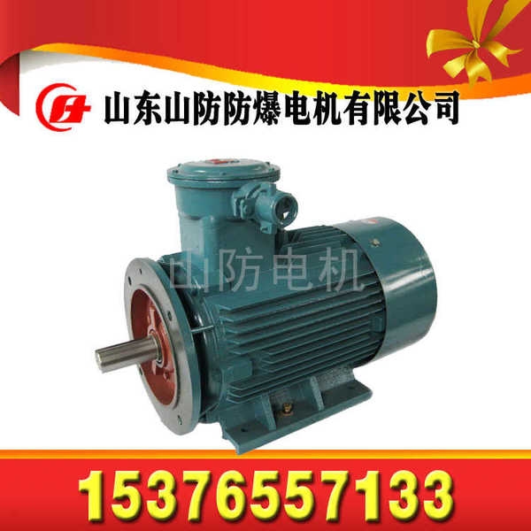 DSB55輸送機專用電動機【山防品牌】【說明書】