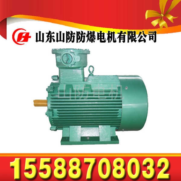 YBS75-4隔爆型三相異步電動(dòng)機(jī)JDSB75-4輸送機(jī)用隔爆型電動(dòng)機(jī)