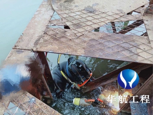 2020遼寧省哪有潛水作業(yè)公司您靠譜的選擇