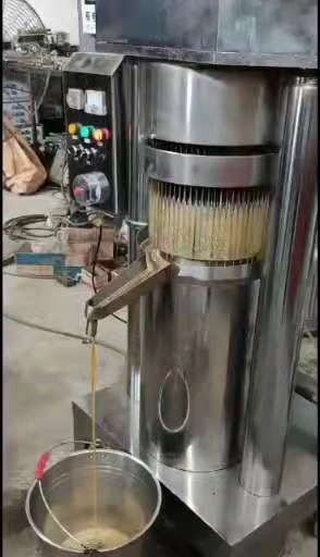 華銘世油坊用320型核桃榨油機 多功能立式不銹鋼榨油設(shè)備