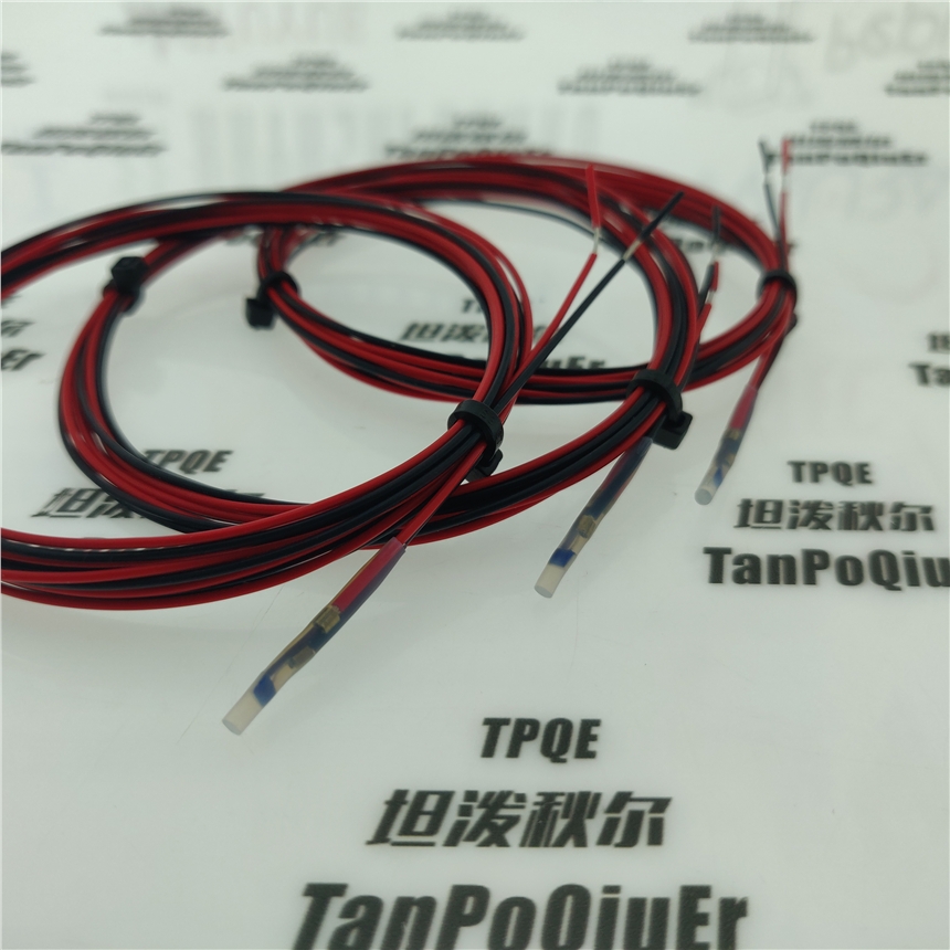 新能源電機(jī)PT100/PT1000鉑電阻小尺寸探頭溫度傳感器