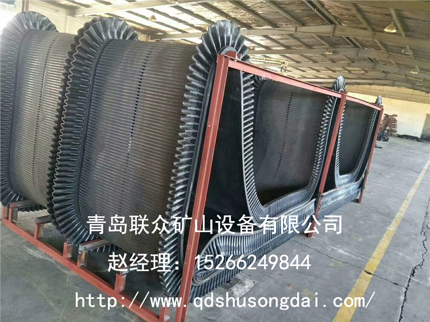 脫硫機輸送帶 過濾機履帶專業(yè)定制廠家供應