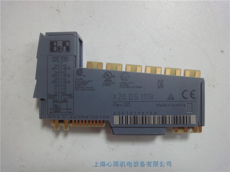 X20DS1119貝加萊數(shù)字量混合模塊現(xiàn)貨