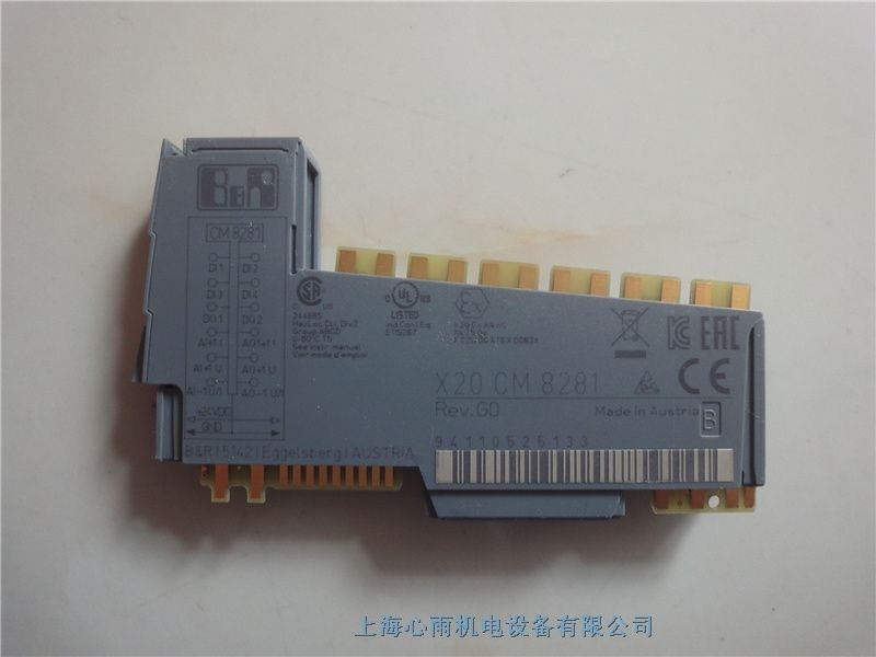 X20CM8281貝加萊通用混合模塊現(xiàn)貨