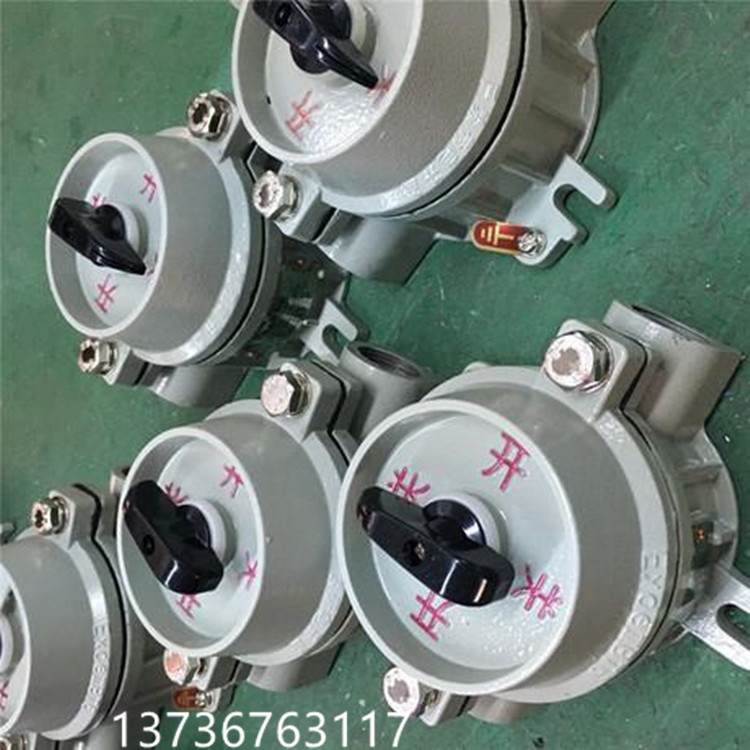 防爆照明開(kāi)關(guān)sw-10