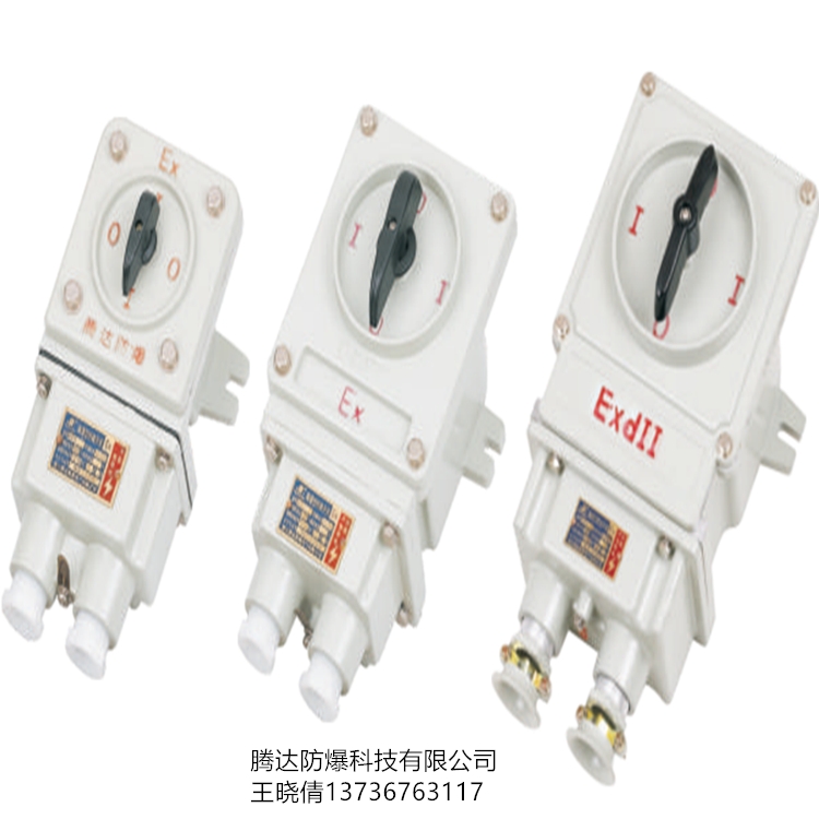 騰達(dá)BHZ51防爆轉(zhuǎn)換開關(guān)廠家直銷