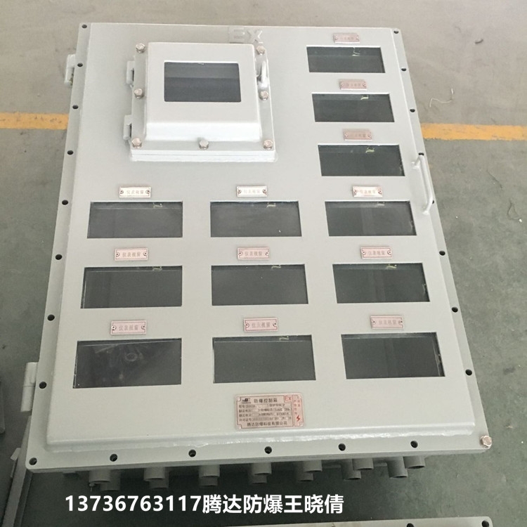 騰達(dá)防爆儀表箱 溫控壓力流量液位稱重專用防爆電控箱