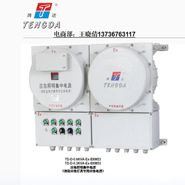 A型應(yīng)急照明集中電源