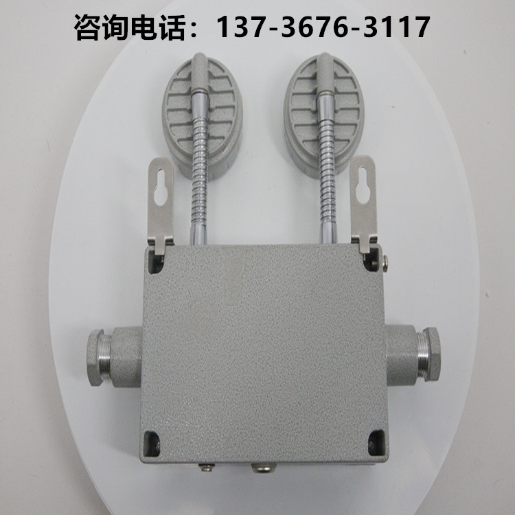 A類 集中控制型消防應急照明燈具